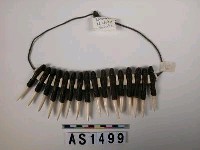 藏品(獸牙頸飾)的圖片